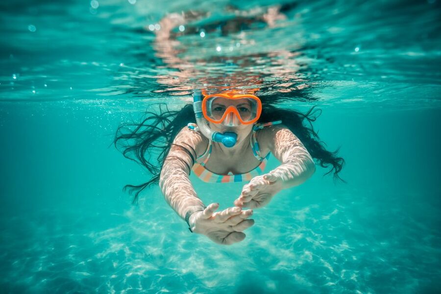 From Ka'anapali: West Maui Half-Day Snorkel Tour w/ Food - Breakfast and a wildlife watch on the way out