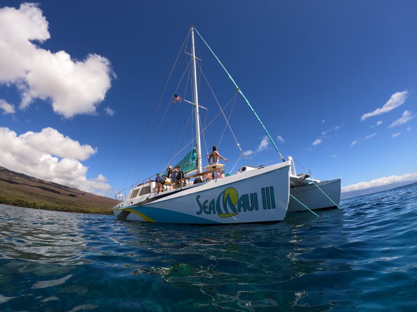 From Ka'anapali: West Maui Half-Day Snorkel Tour w/ Food - Captain-selected snorkel sites around west Maui