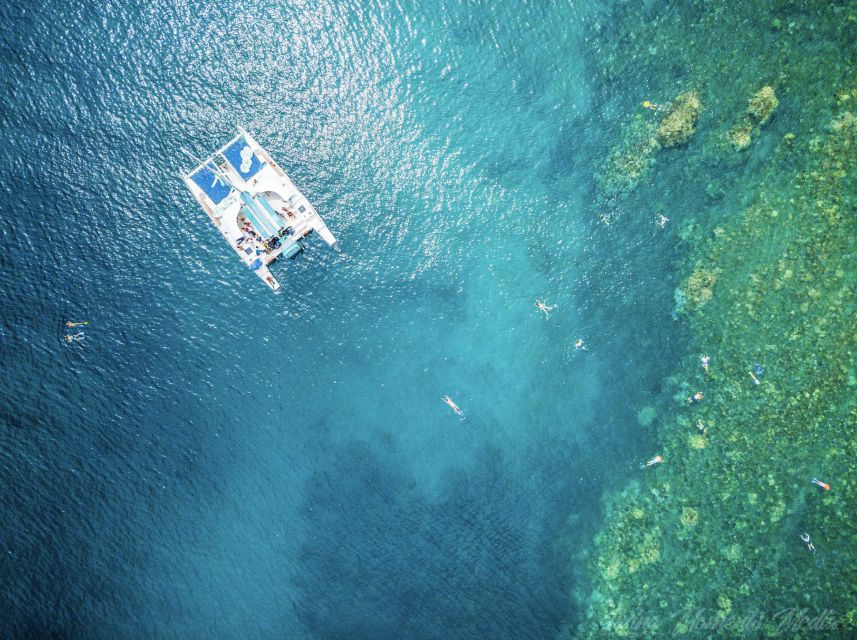 From Kaanapali: Afternoon West Maui Snorkeling w/ Drinks - What the crew does well