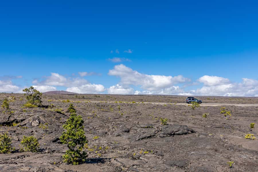 From Kailua-Kona: All-Inclusive Volcanoes National Park Tour - Key points to know before booking