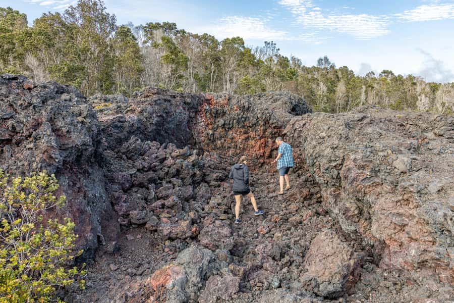 From Kailua-Kona: All-Inclusive Volcanoes National Park Tour - What the private price buys you