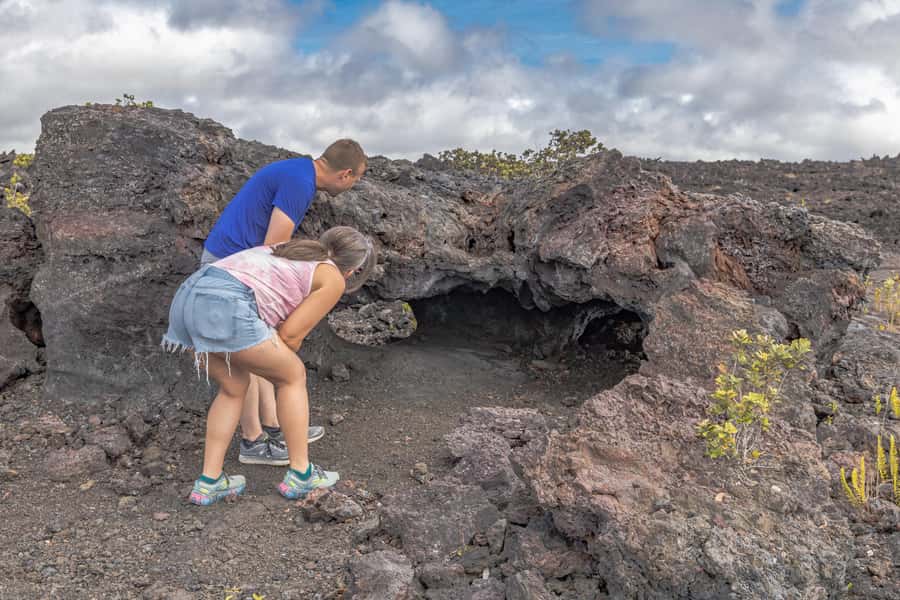 From Kailua-Kona: All-Inclusive Volcanoes National Park Tour - Punalu‘u Black Sand Beach and its wildlife