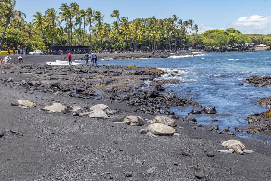 From Kailua-Kona: All-Inclusive Volcanoes National Park Tour - Thurston Lava Tube, a 600-foot volcanic tunnel