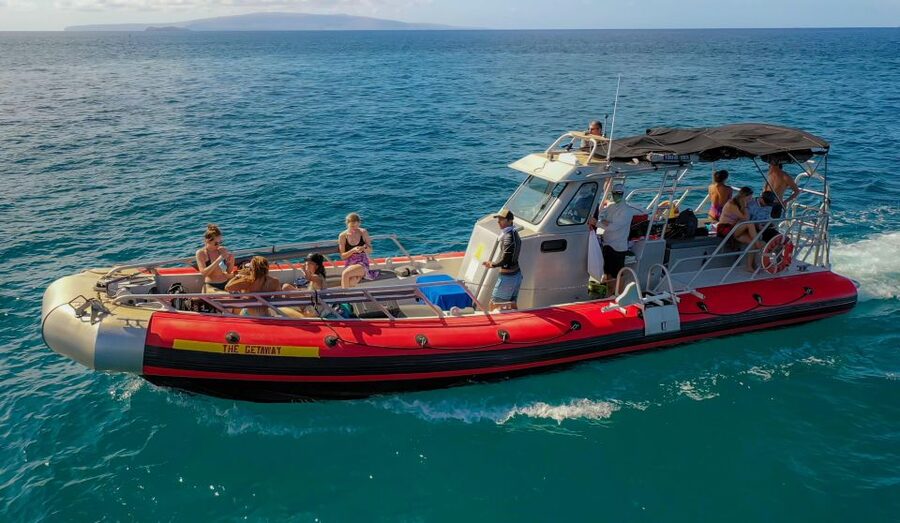 From Kihei: Molokini Crater and Turtle Town Snorkeling - Should you book it?