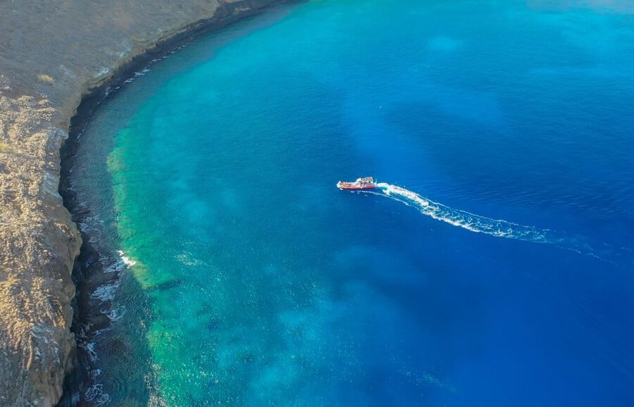 From Kihei: Molokini Crater and Turtle Town Snorkeling - A short boat ride from Kihei