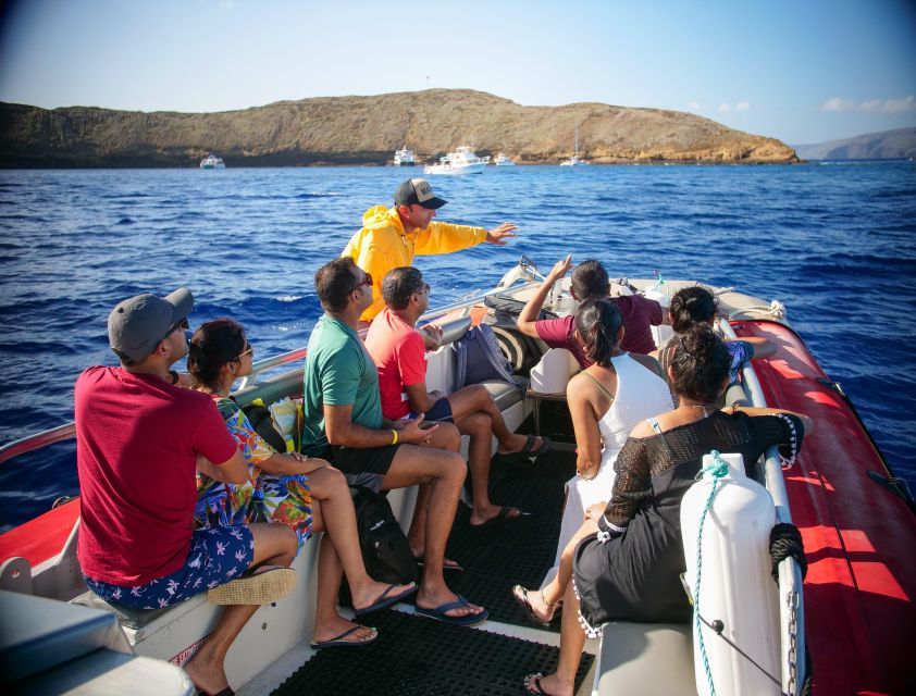 From Kihei: Molokini Crater and Turtle Town Snorkeling - Turtle Town and the Hawaiian green turtles