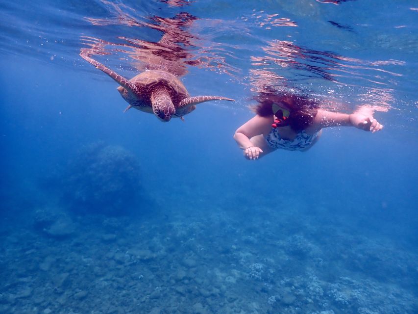 From Kihei: Molokini Crater and Turtle Town Snorkeling - Whale watching between the snorkel stops