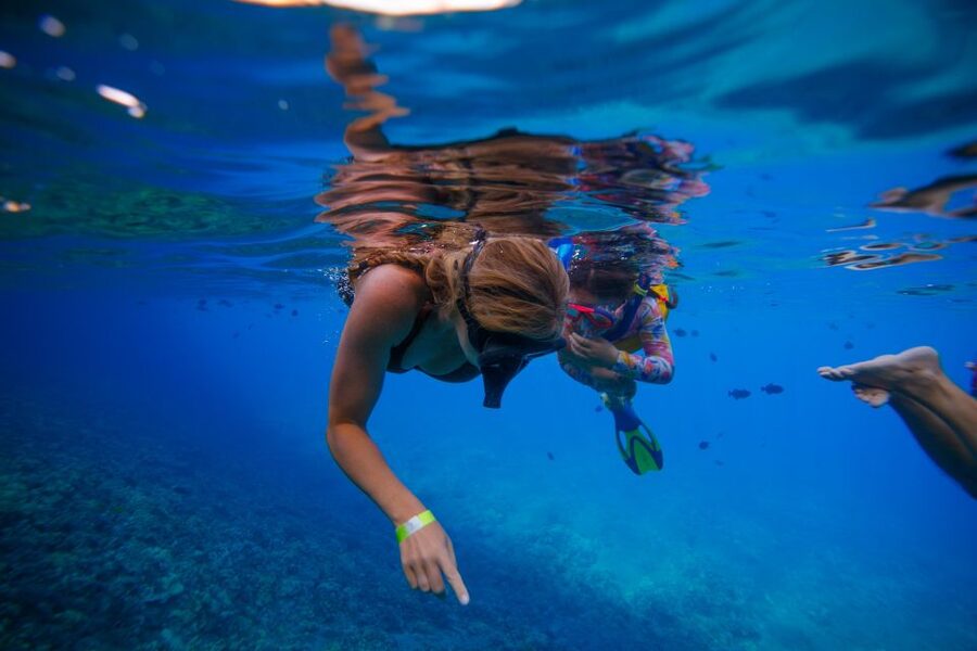 From Kihei: Molokini Crater and Turtle Town Snorkeling - Is $179 a fair price?