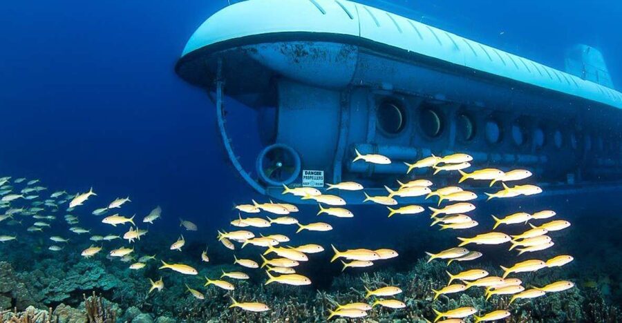 From Kona: Big Island Underwater Submarine Adventure - Key points to know before you go