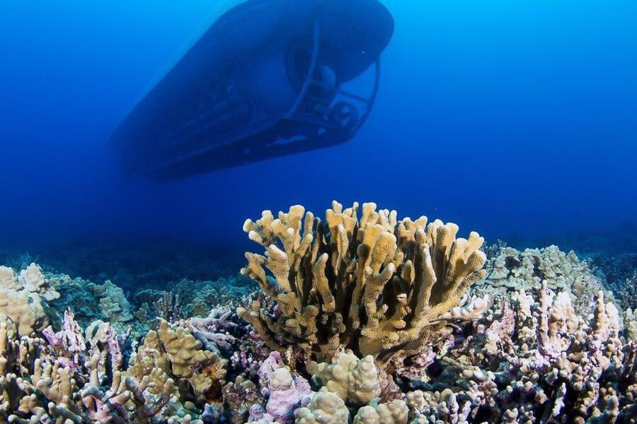 From Kona: Big Island Underwater Submarine Adventure - Boarding through the special submarine ladder