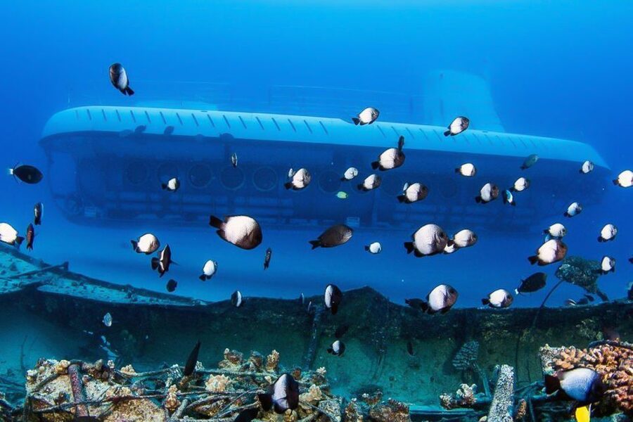 From Kona: Big Island Underwater Submarine Adventure - A comfortable way to see marine life without scuba gear
