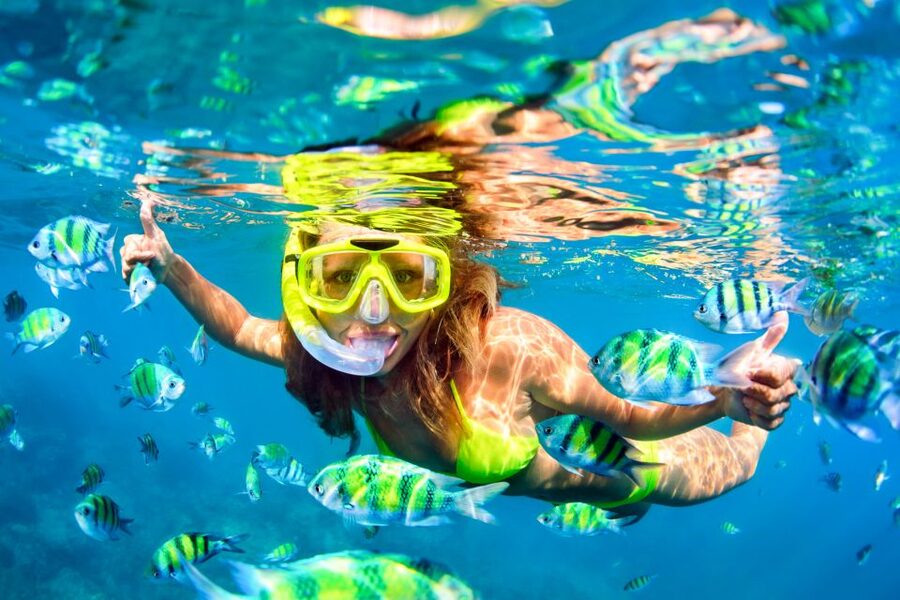 From Ma'alaea: Turtle Town Snorkel aboard Quicksilver - Lunch, drinks, and the ride back to Maalaea