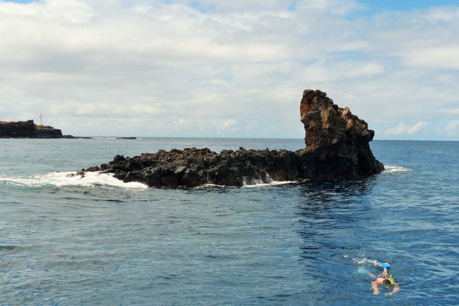 From Ma'alaea: Turtle Town Snorkel aboard Quicksilver - What the $99 price really covers