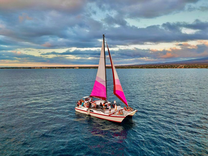 From Maalaea: Whale Watching Catamaran Cruise with Drinks - Arriving at 233 Maalaea Road