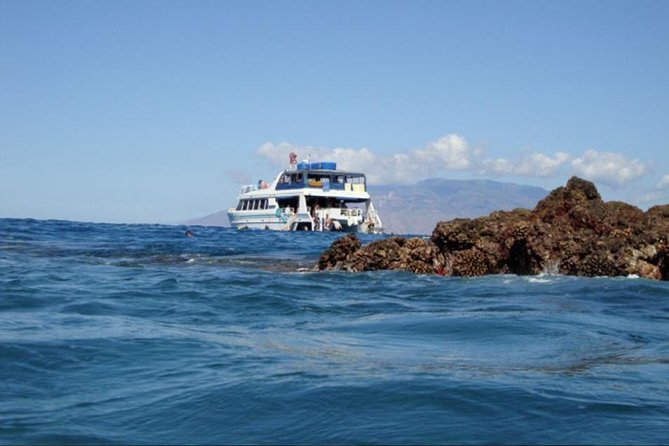 From Maalaea: Whale Watching Tour Aboard the Quicksilver - Who Will Enjoy This Trip Most?