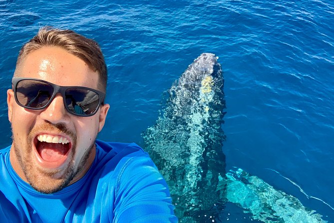 From Maalaea: Whale Watching Tour Aboard the Quicksilver - What the Two-Hour Cruise Feels Like