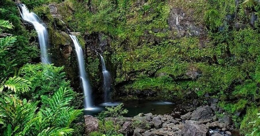From Maui: Road to Hana Rainforest and Waterfall Experience - Practical preparation for an 11-hour van day
