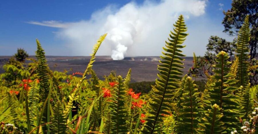 From Oahu: Big Island Volcano Adventure - Walking Through Nāhuku Lava Tube