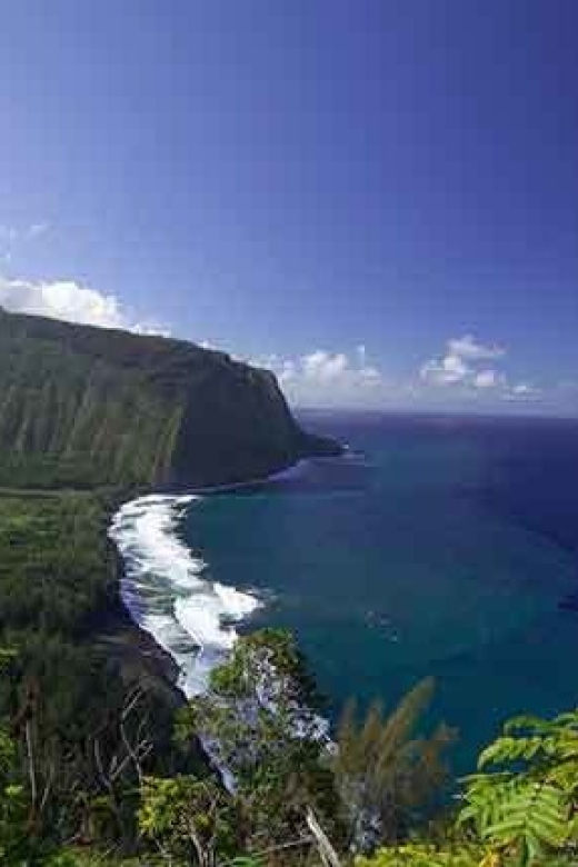 From Oahu: Big Island Volcano Adventure - Hilo’s Waterfalls, Trees, and Garden