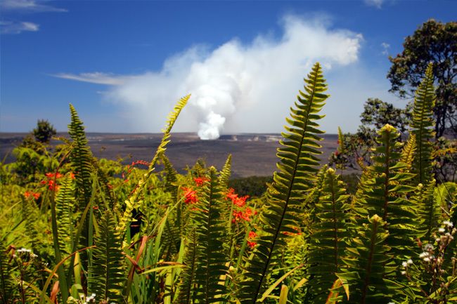From Oahu: Big Island Volcano Adventure - Guide Style and What the Ratings Suggest