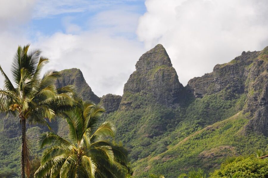 From Oahu: Kauai Highlights & Movie Sites - Why This One-Day Kauai Plan Works
