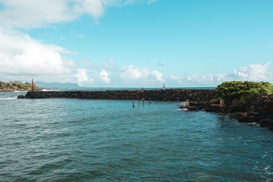 From Oahu: Kauai Highlights & Movie Sites - Kīlauea Lighthouse and the North Shore