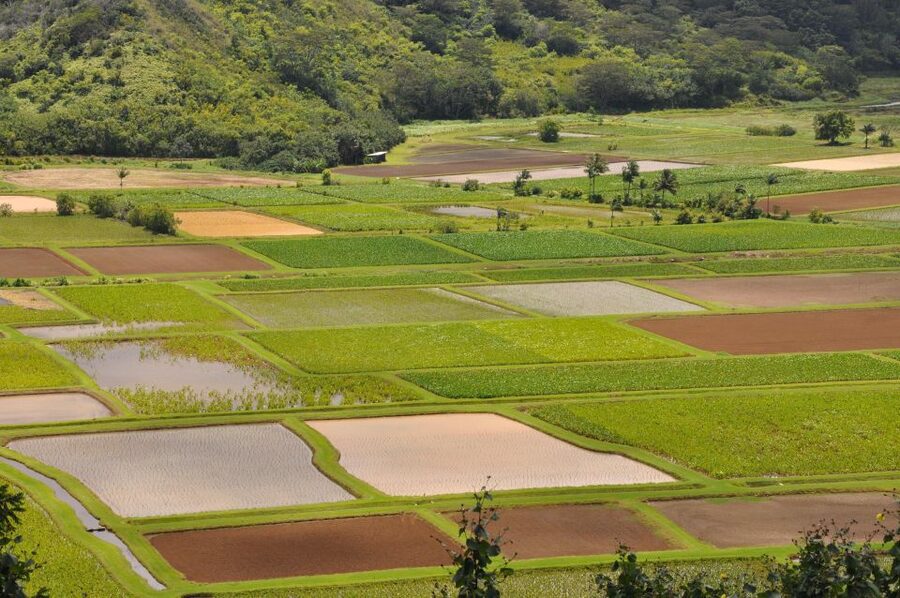 From Oahu: Kauai Highlights & Movie Sites - The Long Day and Its Practical Limits