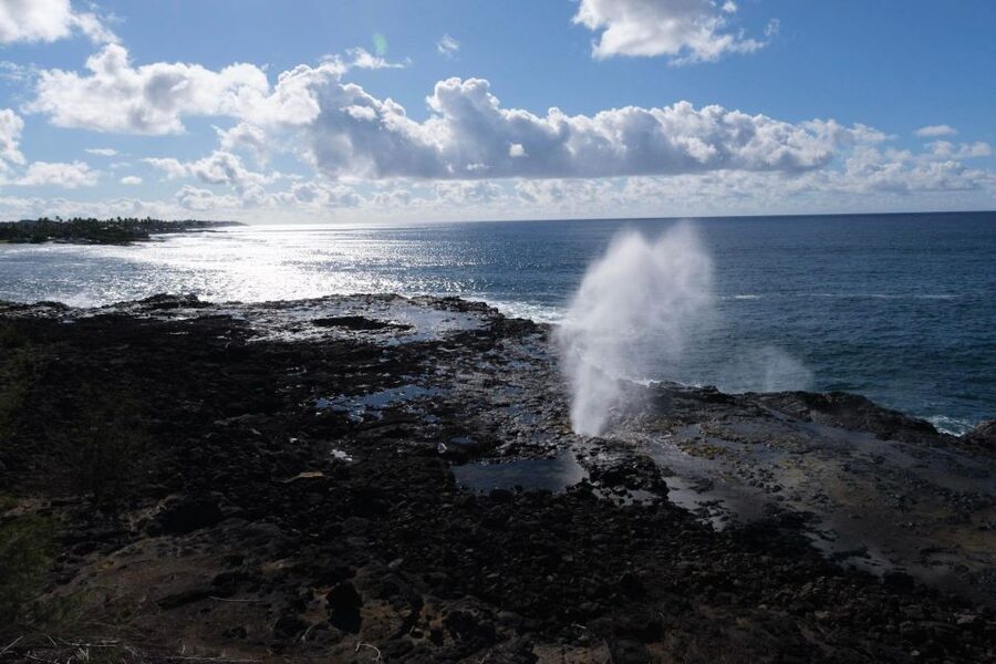 From Oahu: Kauai Waimea Canyon & Wailua River Tour - Old Kōloa Town and a self-paid lunch