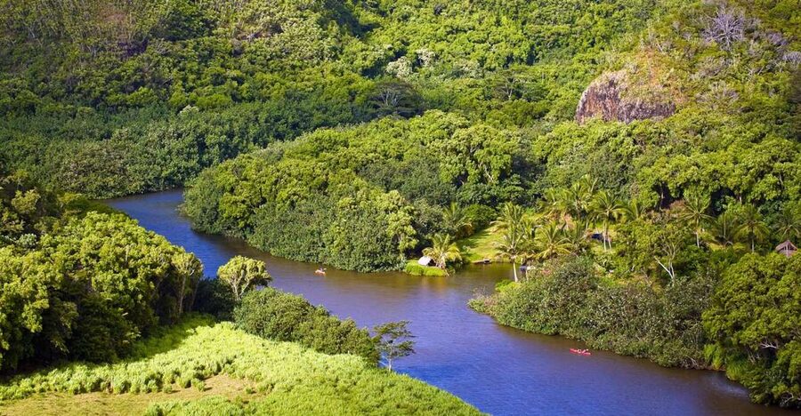 From Oahu: Kauai Waimea Canyon & Wailua River Tour - Wailua River and the Fern Grotto