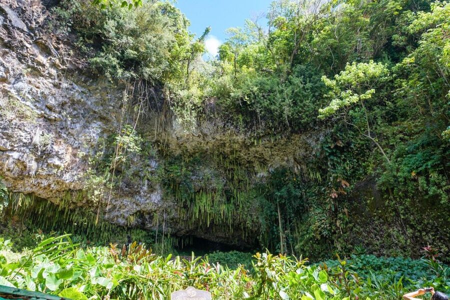 From Oahu: Kauai Waimea Canyon & Wailua River Tour - Opaeka‘a Falls and the royal birthstone site