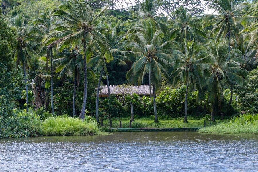 From Oahu: Kauai Waimea Canyon & Wailua River Tour - Kaua‘i Coffee Company and the extra stops