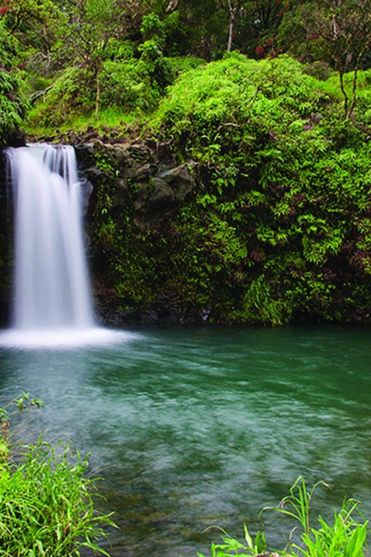 From Oahu: Maui Road to Hana Sightseeing Tour - Key points to know before booking