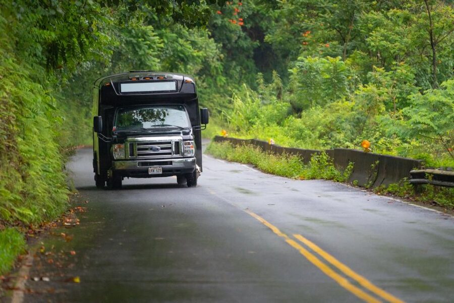 From Oahu: Maui Road to Hana Sightseeing Tour - A possible swim at Pua Kaa State Wayside Park