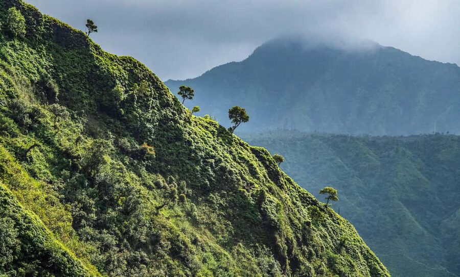 From Princeville: Discover Kauai Helicopter Tour - Manawaiopuna Falls and the Hanapepe Valley
