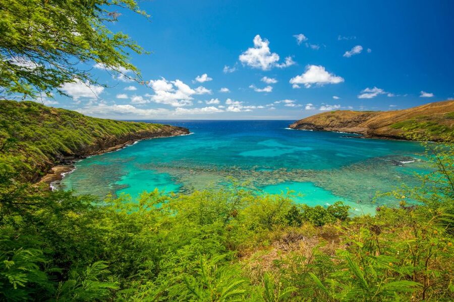 From Waikiki: Best of Oahu Photo Tour with Pickup - Halona Blowhole adds a volcanic detail