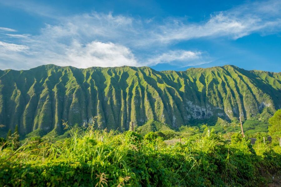 From Waikiki: Best of Oahu Photo Tour with Pickup - The van, pickup, and pace