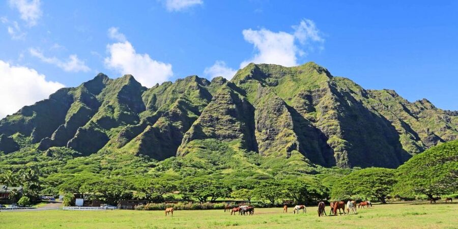 From Waikiki: Circle Island Tour - Waikiki to the island’s eastern shore