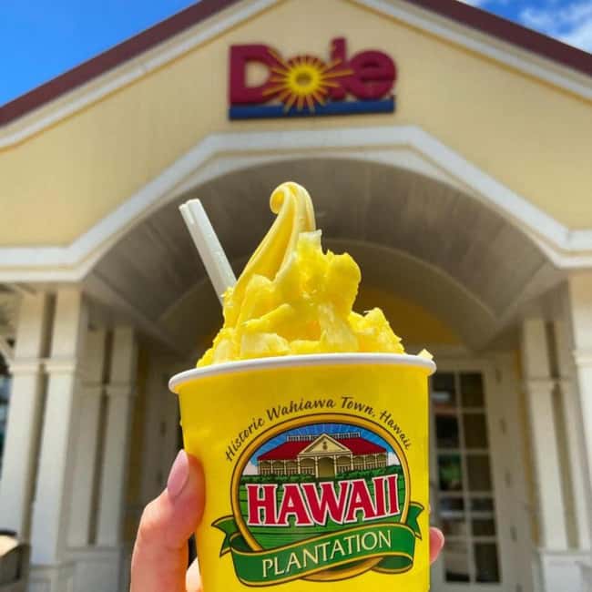 From Waikiki: Oahu Circle Island Tour - A long Oahu day that covers the island