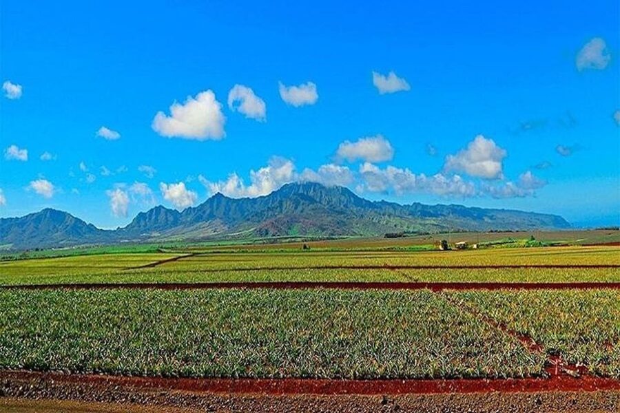 From Waikiki: Oahu Grand Circle Island Experience - Makapuʻu, Waimanalo, and Kualoa