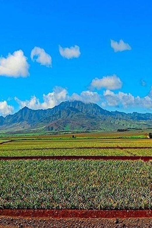 From Waikiki: Oahu Grand Circle Island Experience - Haleiwa, Dole Plantation, and coffee before Waikiki