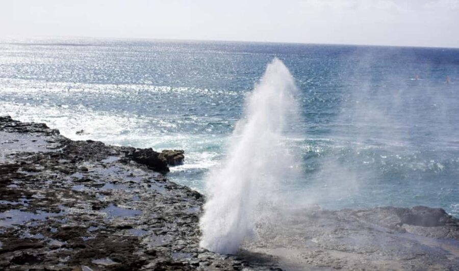 From Waikiki: Oahu Scenic Half-Day Circle Island Tour - Key points to know before booking