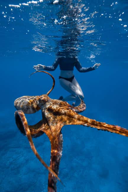 From Waikiki: Turtle Canyon Snorkeling Tour - Getting in, getting out, and staying comfortable