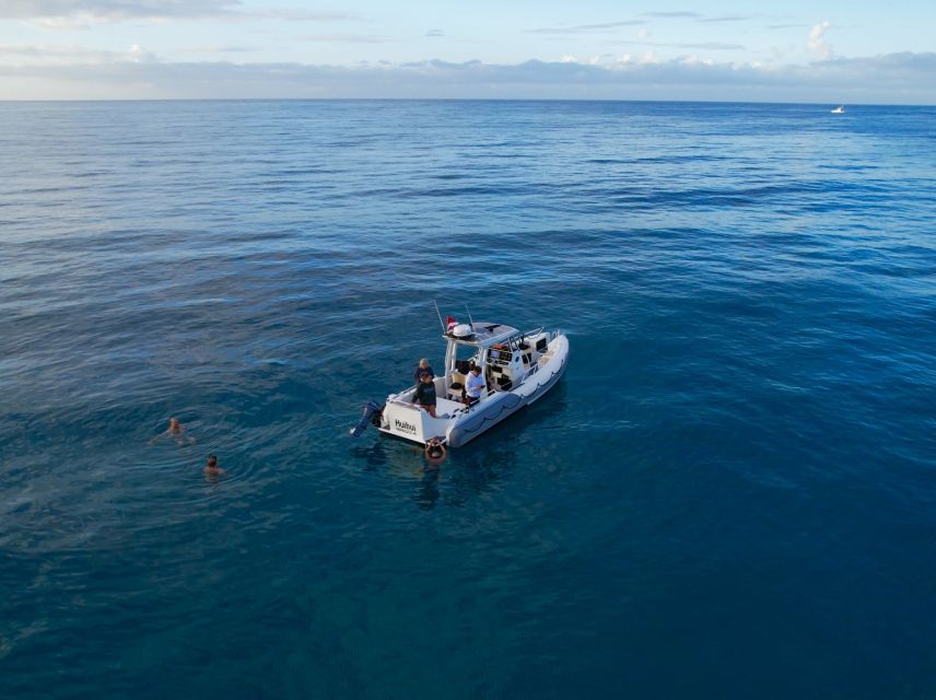 From Waikiki: Turtle Canyon Snorkeling Tour - Who should book this Turtle Canyon tour