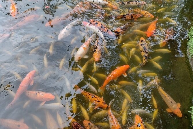Full Day Oahu Tour with Byodo Temple & Waimea Waterfalls - Byodo-In Temple brings a quiet pause