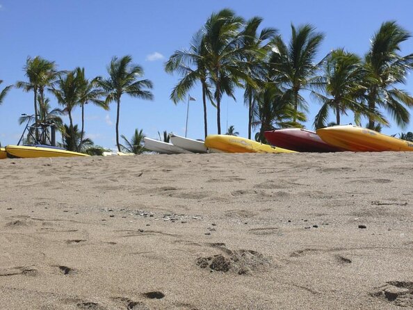 Glass-Bottom Boat Cruise from Waikoloa - Key points to know before you book