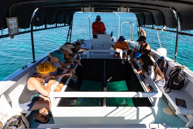 Glass-Bottom Boat Cruise from Waikoloa - What you may see through the glass