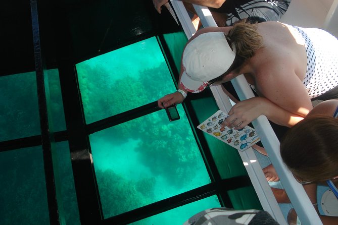 Glass-Bottom Boat Cruise from Waikoloa - Why the marine naturalists matter