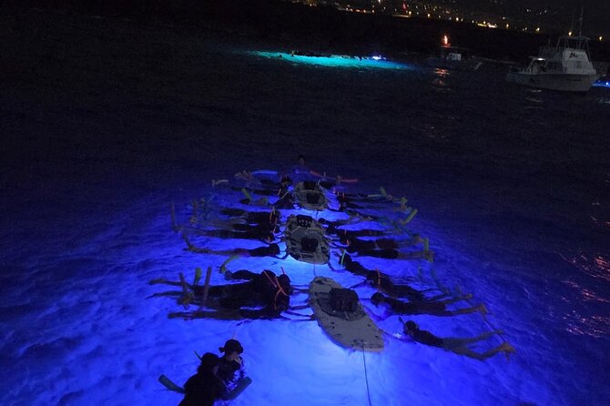 Glow of the Deep: Night Snorkeling with Manta Rays - Key points to know before booking