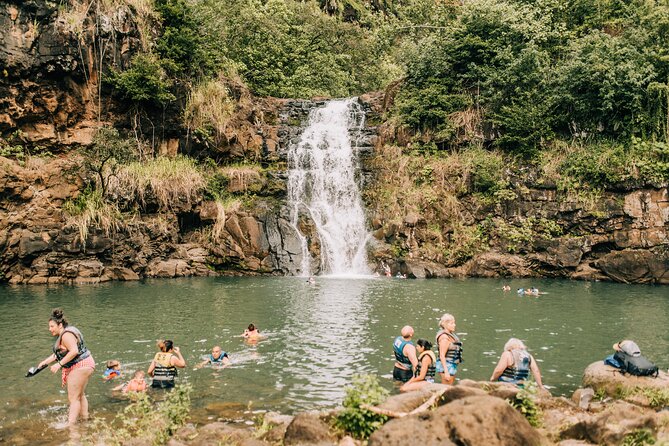 Go City: Oahu All-Inclusive Pass with over 45 Things To Do - Transportation and booking traps to avoid