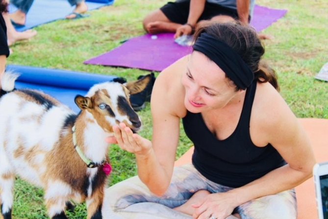 Goat Yoga with Miniature Goats In Maui - A two-hour morning with goats in Kula